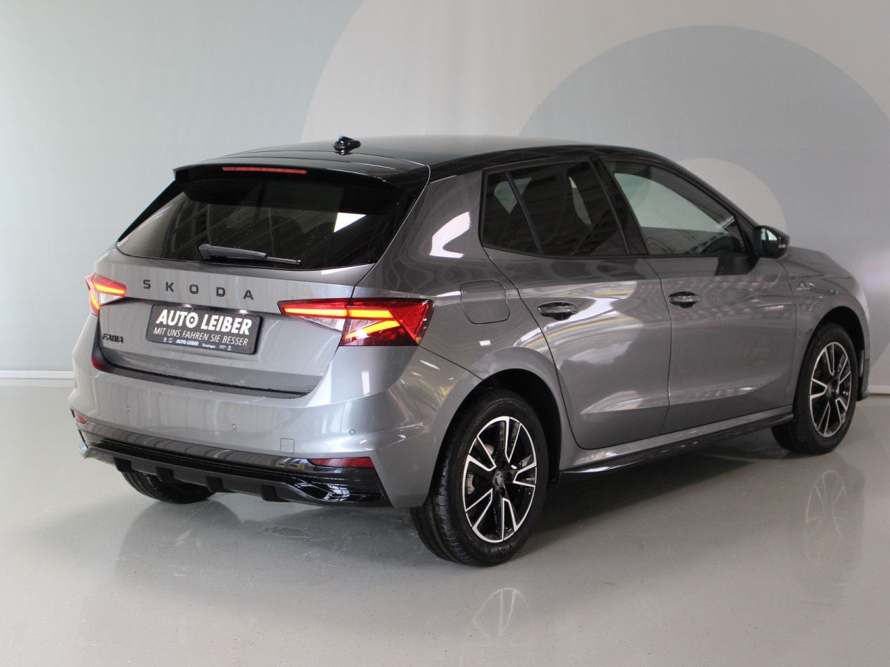 Fahrzeugabbildung SKODA Fabia 1.0 TSI Monte Carlo /Cam/LED/App