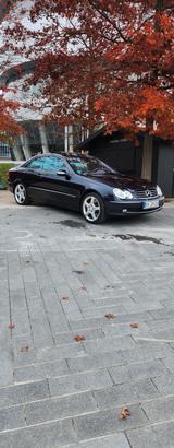 Mercedes-Benz CLK 500 AVANTGARDE Avantgarde - gebrauchte Mercedes-Benz CLK 500 aus dem Jahr 2005