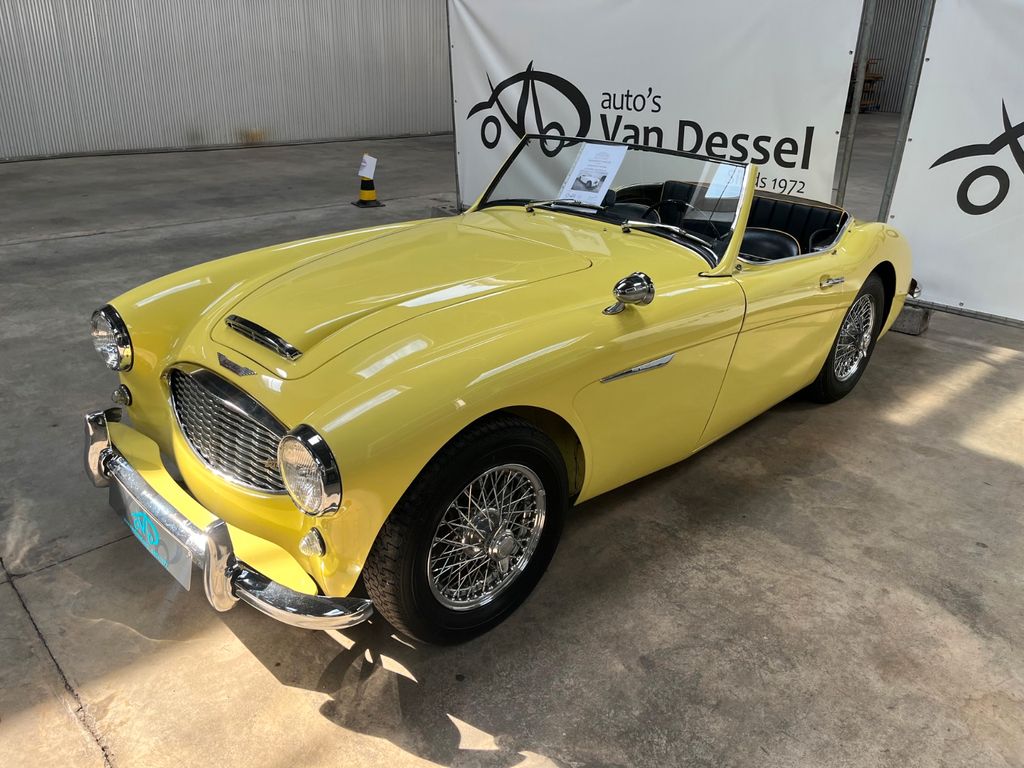 Austin Healey Andere