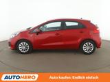 Kia Rio 1.2 Edition 7 *KLIMA*GARANTIE* - Kia Rio: 1 2