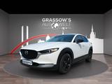 Mazda CX-30 2.0 Homura LED/HEADUP/NAVI/ACC/SHZ/TOT/RFK - gebrauchte Mazda CX-30 aus dem Jahr 2024