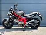 Suzuki Gladius SFV 650 + Tieferlegung vor Auslieferung - Angebote entsprechen deinen Suchkriterien