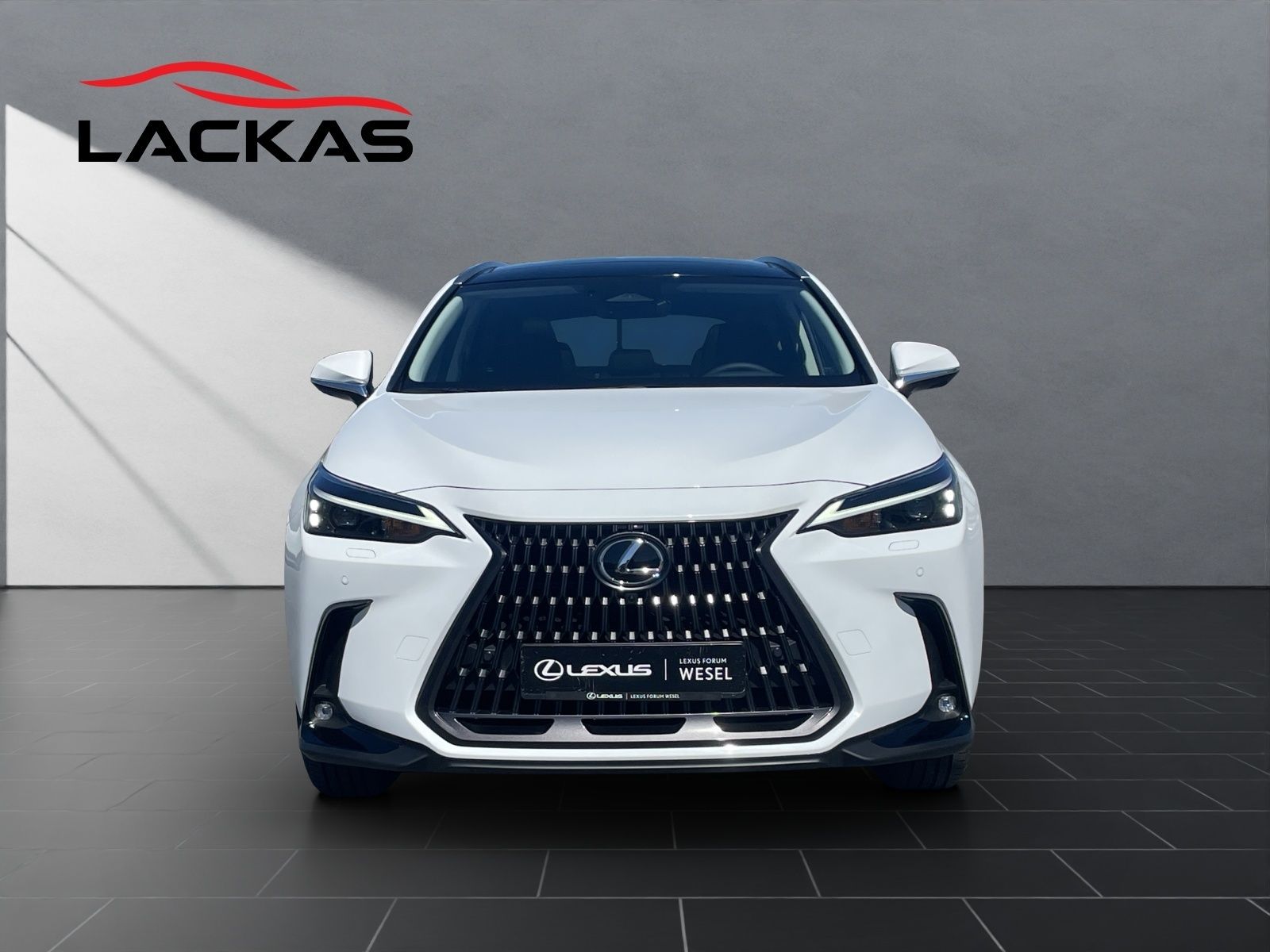 Lexus NX 450h - Bild 8