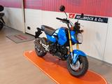 Honda MSX125 Grom ABS - HONDA MSX
