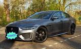 Jaguar XE P250 R-DYNAMIC Automatik - Jaguar XE P250 Gebrauchtwagen