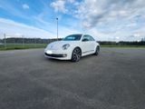 Volkswagen Beetle 2.0 TSI DSG Sport  - Volkswagen Beetle aus 2011