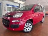 Fiat Panda Pop*Klima*Top gepflegt - Fiat Panda in Hamm