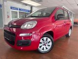 Fiat Panda Pop*Klima*Top gepflegt - Fiat Panda: Pop