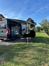 Knaus BoxLife Pro 540 Roads 60 Years -Kein Mietfzg. - - Knaus 540