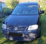 Volkswagen Caddy Life 1.9 TDI 77kW DSG Tramper oder 7.Sitze - Volkswagen Caddy: Tramper