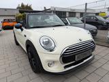 MINI Cooper Cabrio,Burmester,Navi,Teilleder,Automatik - MINI Cooper Cabrio Gebrauchtwagen