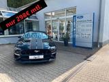 Ford Mustang GT Cabrio Tolles Unikat,480PS/278KM/H!!!