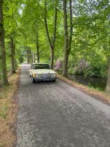 Mercedes-Benz 300 diesel  - Mercedes-Benz 300 Oldtimer: 300d
