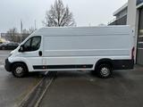 Fiat Ducato Transporter 2.3 Maxi L3H2 Kamera TÜV1/26 - Fiat: Transporter