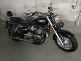 Triumph America - Offers
