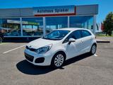 Kia Rio Edition 7 - Kia Rio: Kleinwagen
