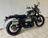 Triumph Street Scrambler -Top-Zustand, Wenig KM, Tüv Neu - TRIUMPH STREET SCRAMBLER