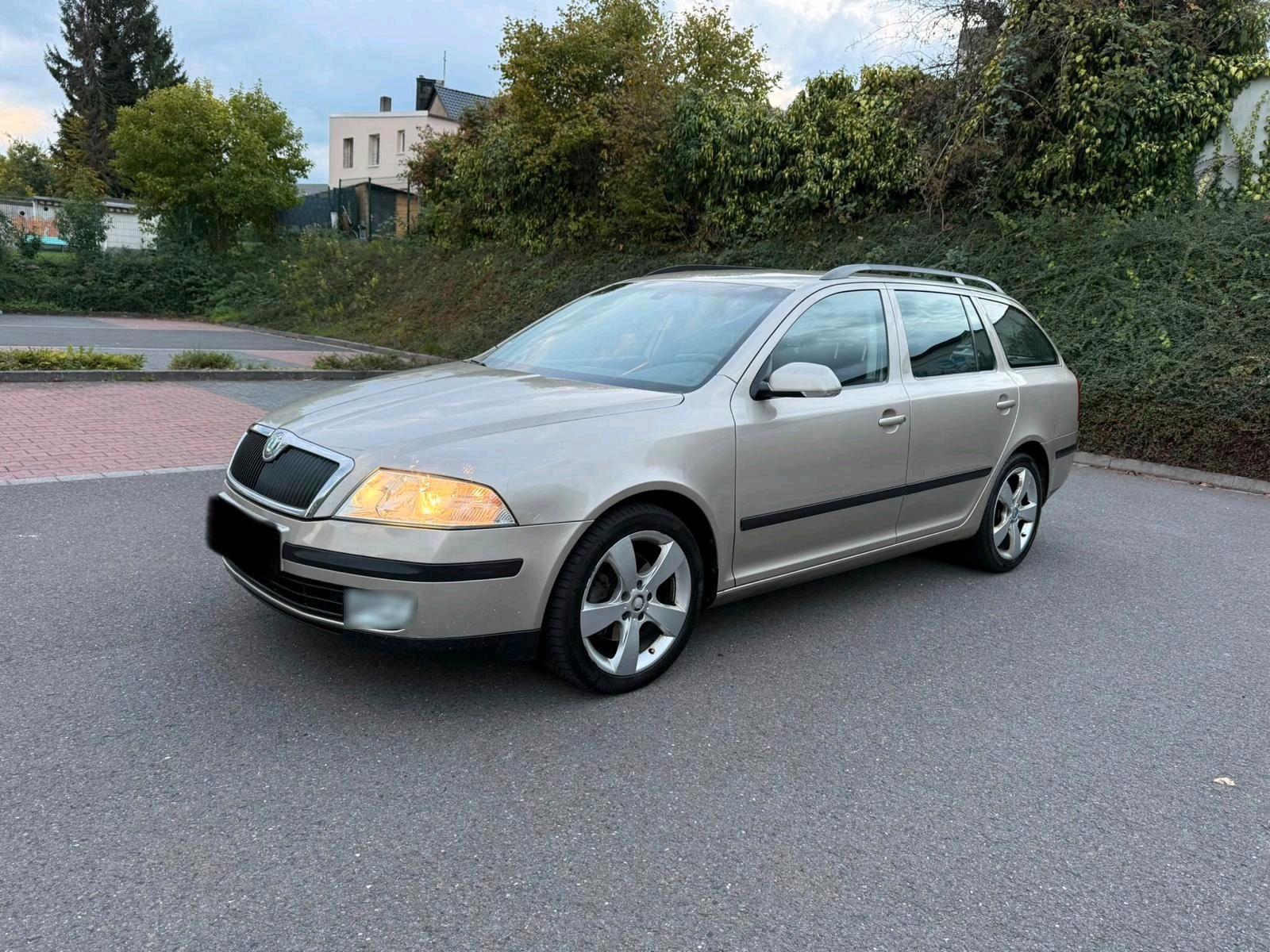 Skoda Octavia 2006 — вигляд ззаду