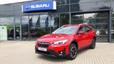 Subaru XV 1,6 Edition Comfort Plus Lineartronic AHK - Subaru XV aus 2023