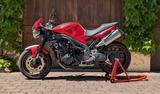 Triumph Speed Triple 1050 SE - TRIUMPH 2011 1050 SPEED TRIPLE