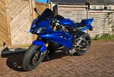 Yamaha YZF R6 mit viel Zubehör  - 2006 YZF R6