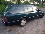 Mercedes-Benz W 124 TE Kombi 220 - Mercedes-Benz 220: W124