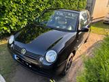 Volkswagen Lupo 1.0 College College - Volkswagen Lupo College mit Benzin-Antrieb