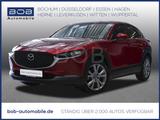 Mazda CX-30 M-Hybrid Selection NAVI SHZ LHZ RFK AHK