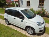 Fiat New  MyStyle 1.2 8V 69PS Klima * 1A Zustand - Fiat Panda: Mystyle