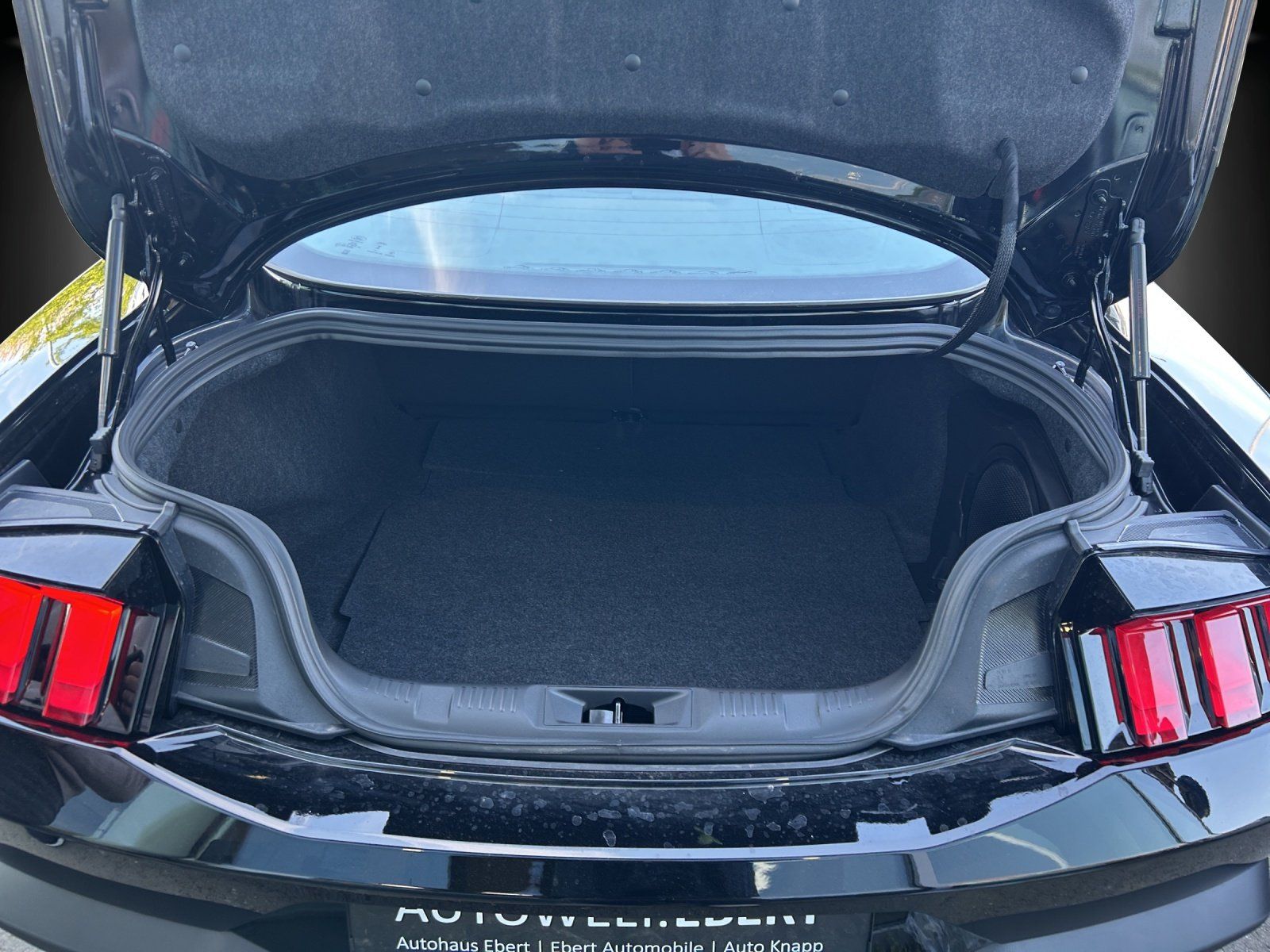 Fahrzeugabbildung Ford Mustang Fastback GT MagneRide Bremsen Rot