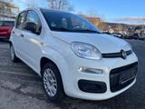 Fiat Panda 1.2 Easy*LPG+Benzin ab Werk*Klima*1.Hand* - mit LPG-Antrieb: Ab Werk
