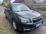 Subaru Forester 2.0X Active Active - Subaru Forester Active mit Benzin-Antrieb