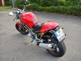 Ducati Monster, ZDM900M, M900, klassische Urmonster - DUCATI MONSTER 900