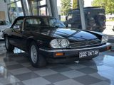 Jaguar XJS*TÜV NEU*VERDECK NEU*SITZHEIZUNG - Jaguar XJS aus 1989