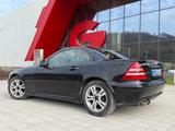 Mercedes-Benz SLK 230 KOMPRESSOR - - gebrauchte Mercedes-Benz SLK 230 aus dem Jahr 2003