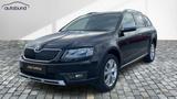 Skoda Octavia Scout Reling Sitzheizung - Skoda Octavia: Schwarz