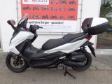 Honda Forza 125 mit Smart Top Case 2025 125er Deals - Angebote entsprechen deinen Suchkriterien