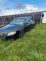 Audi a4 b7 1,9 - Audi A4 aus 2006: 1.9