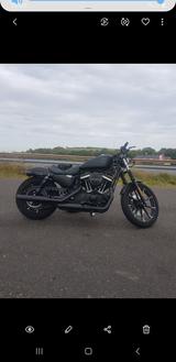 Harley-Davidson Sportster Iron 883