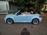 Volkswagen New Beetle Cabrio 1.8 turbo  - Volkswagen New Beetle: Turbo
