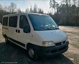 Fiat fiat Ducato - gebrauchte Fiat Ducato aus dem Jahr 2006