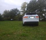 Jaguar F-Pace 25t AWD R-Sport Automatik R-Sport - Jaguar F-Pace von privat