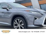 Lexus RX 450h AWD hL Leder Keyless Kamera Pano - Lexus RX 450: Rx450h