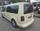 Volkswagen Caddy PKW Maxi Comfortline BMT - Volkswagen Caddy: ESP