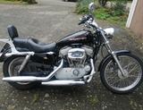 Harley-Davidson 883 Sportster  - HARLEY-DAVIDSON 2005 883 SPORTSTER