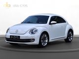 Volkswagen Beetle Lim. Design *Navi*PDC*SHZ