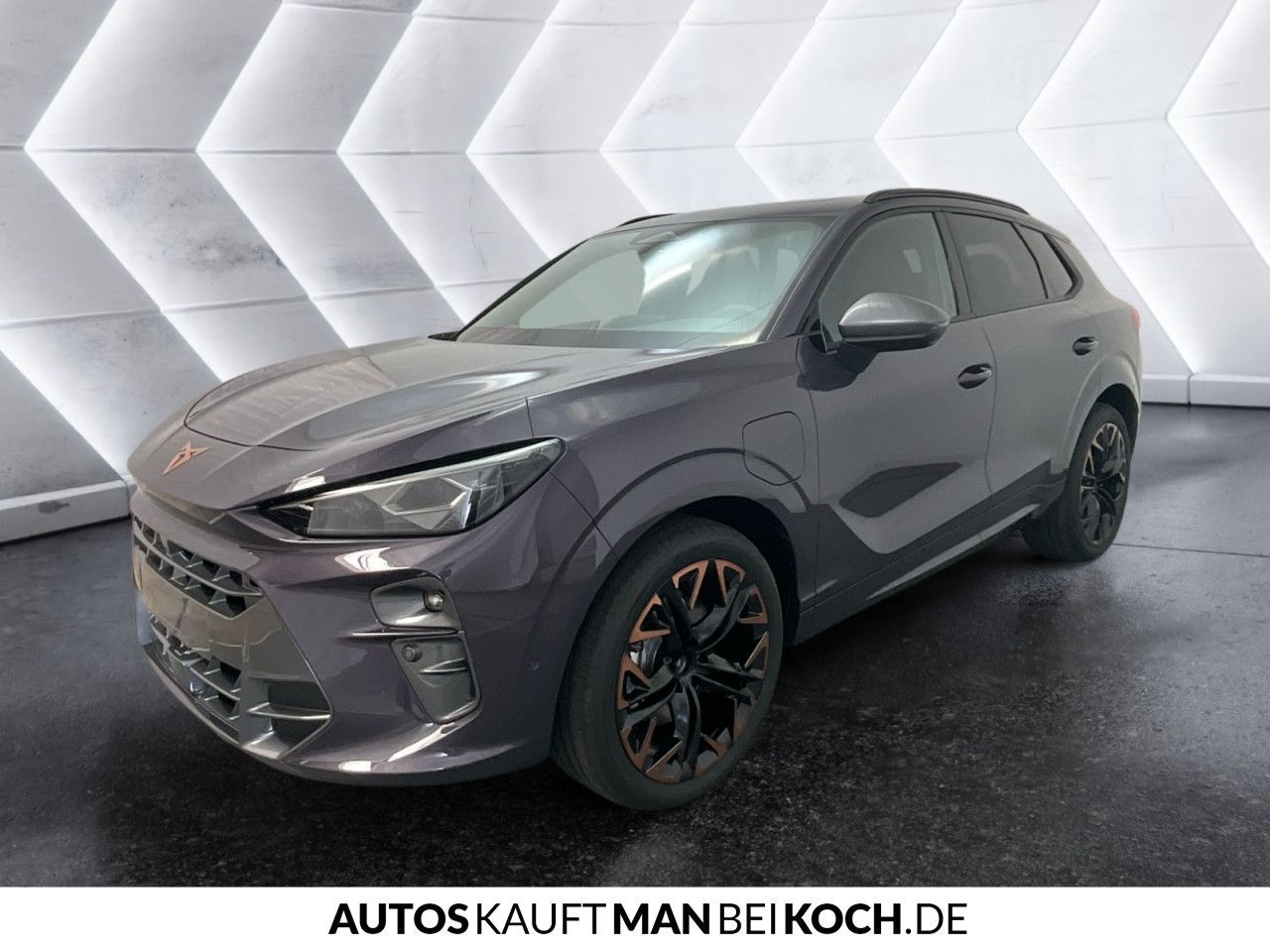 Cupra Terramar - Bild 4