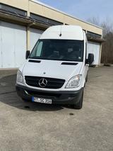 Mercedes-Benz Sprinter 316 L4/H3 1.Besitzer/sehr gepflegt