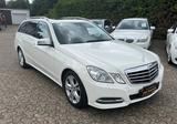 Mercedes-Benz E 350 E T-Modell E 350 4Matic - Mercedes-Benz E 350: Kombi