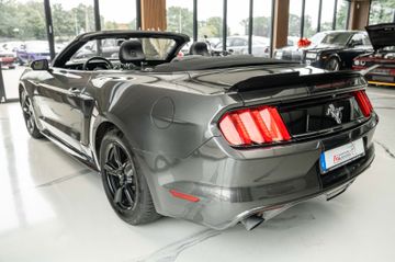 Ford Mustang - 4
